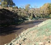 Apple Valley South Revegatation Volunteers Needed