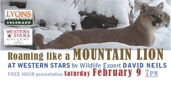 Free Mountain Lion Presentation by David Neils