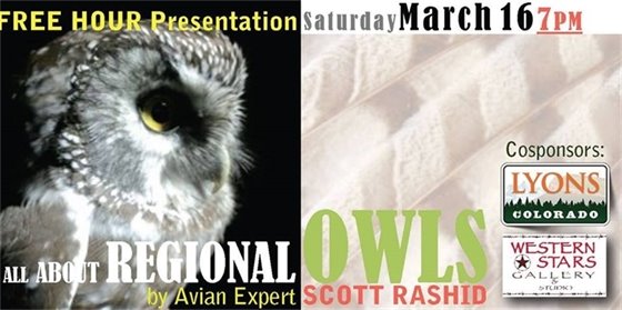 Regional Owls