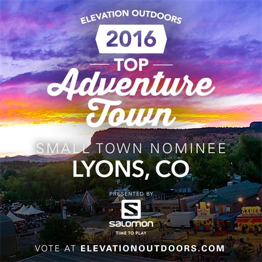Vote for Lyons!