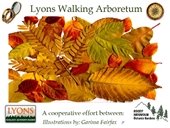 Lyons Walking Arboretum
