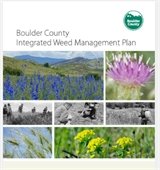 Boulder County Weed Management Input