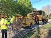 Curbside Limb Pick up