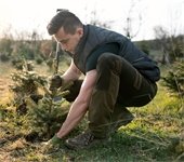 Lyons Lions Club Tree Planting