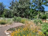 Flowers of Color at the Rocky Mountain Botanical Gardens in Lyons