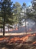 Heil Valley Ranch Prescribed Burn