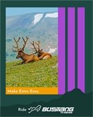 Lyons Bustang Service to Estes Park