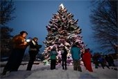 Tree Lighting Celebration