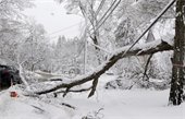 Power Outages Due to Snowstorm